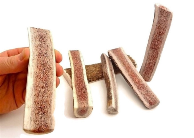 Mickey's Elk Antler Small Split