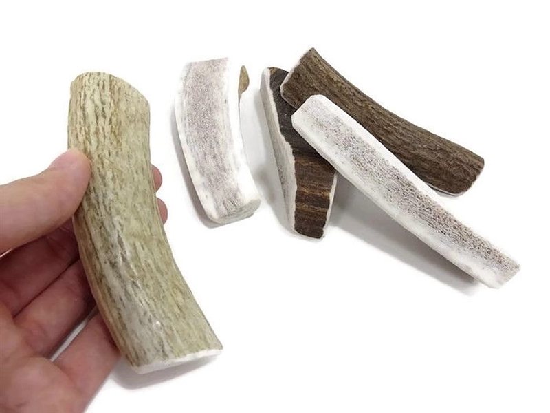 Mickey's Elk antler X-Small Split Dog Chew