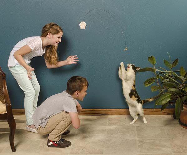 CatDancer Deluxe kids
