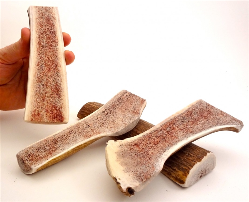 Mickey's Elk Antler Medium Split