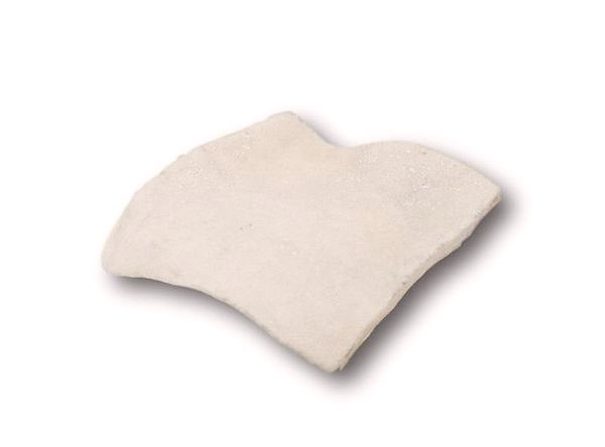 Mickey's Cheek Chip