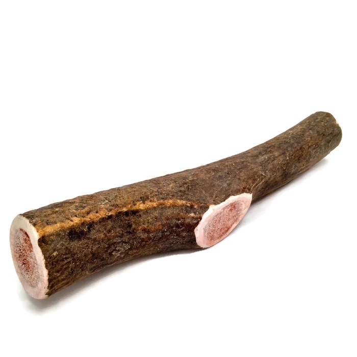 Rocky Mountain Elk Antler Giant Whole
