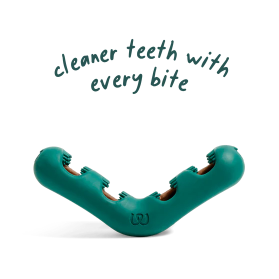 woof Bite n' Brush Benefits