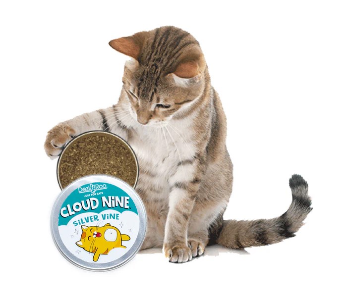 Dezi & Roo Cloud Nine Silvervine