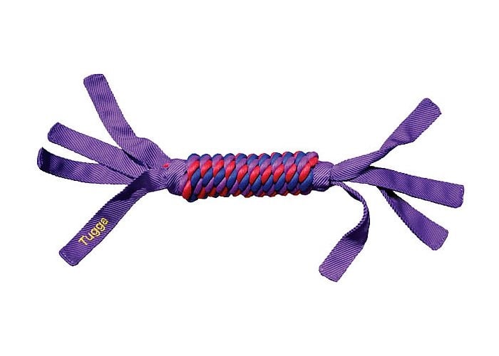KONG Tugga Wubba Large dog toy