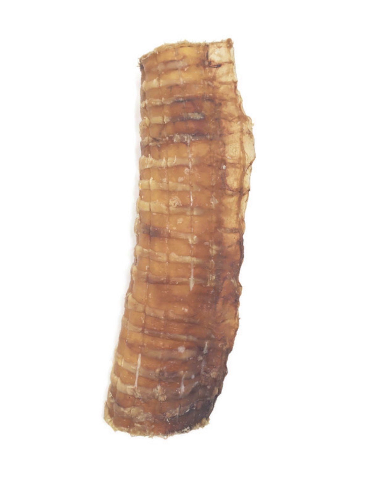 Mickey's Beef Trachea Strip for Dogs - 6 in