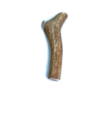 Elk Extra Large Whole Antler- Mickeyspetsupplies.com