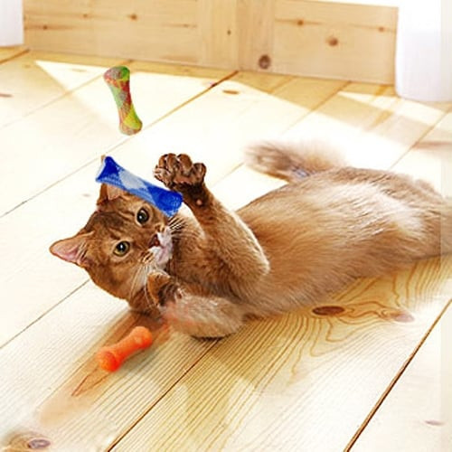 Kitty Boinks cat toy