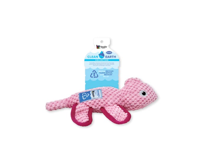 Spunky Pup Clean Earth Chameleon Dog Toy