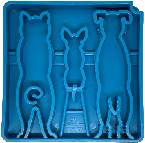 SodaPup Waiting eTray for Dogs  interactive