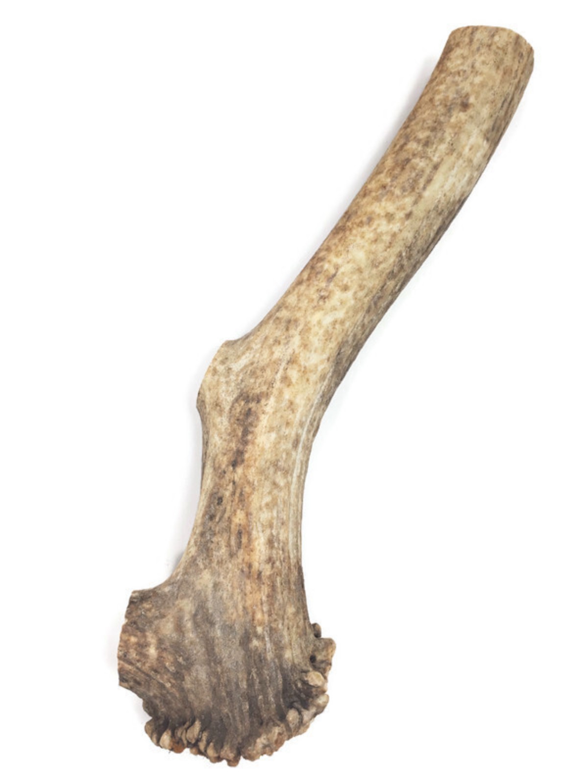 Mickey's Elk Antler Large Whole