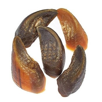 USA cow hooves by Jones Natural Chews