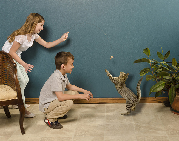 Cat Dancer Original kids