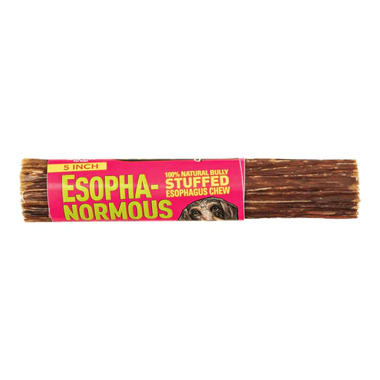 says! Esopha-Normous Bully Stuffed Esophagus Chew for Dogs