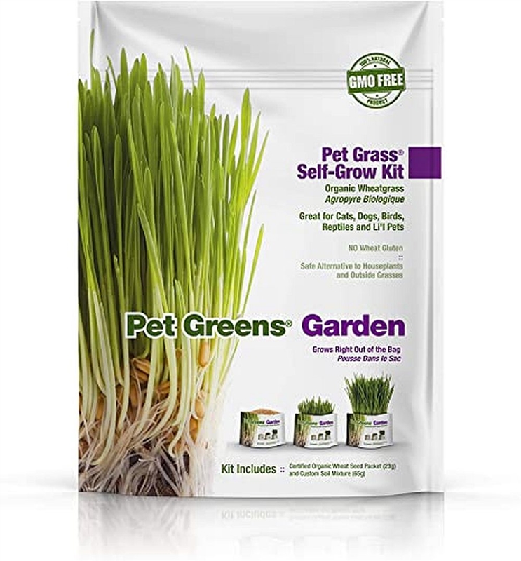 Pet Greens Garden Wheat Grass Self-Grow Kit